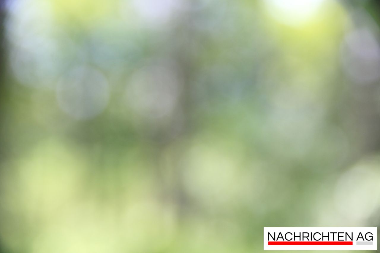 Großes Stadtparkfest in Wiener Neustadt: Spaß für die ganze Familie!